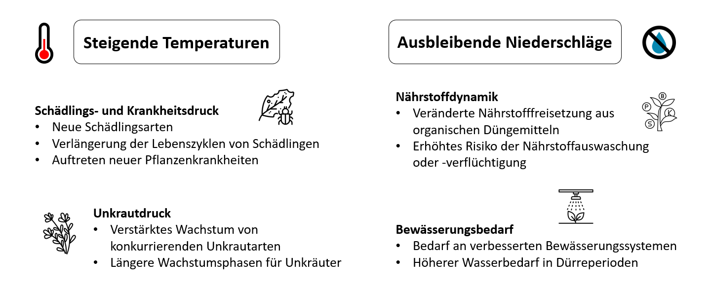 Übersicht der Herausforderungen