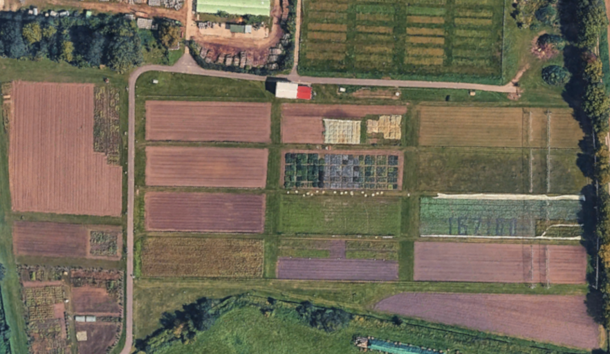 Leibniz-Institut für Gartenbauwissenschaften (IGZ)